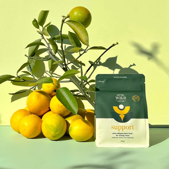 Plant Care: *Support 250g