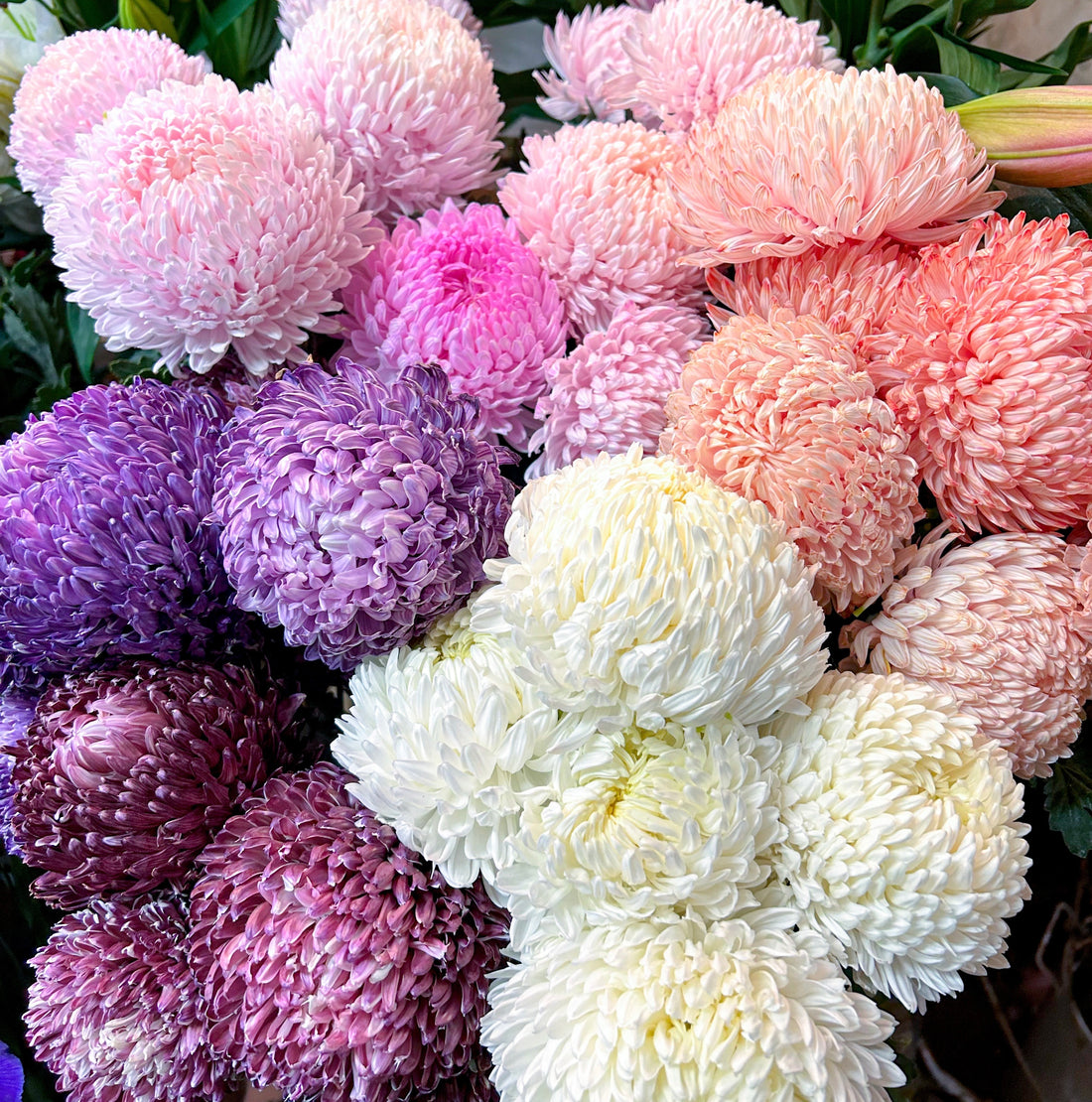 Mother’s Day collection