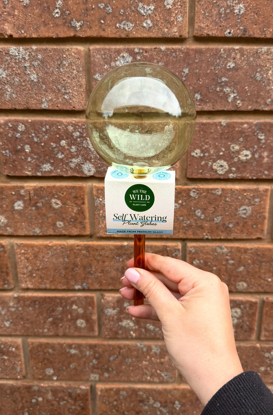 Plant care: self watering plant globe