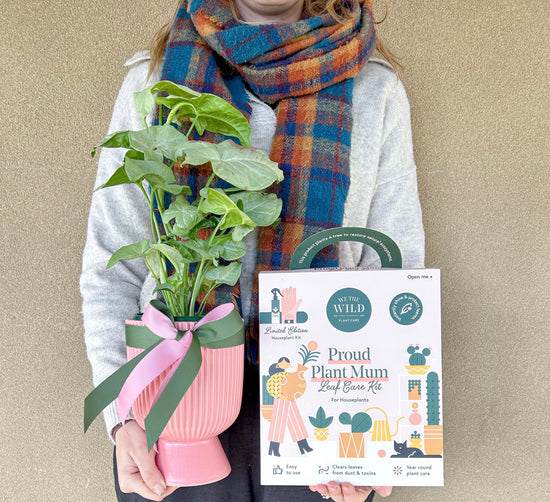 Mothers Day: Proud Plant Mum Pack