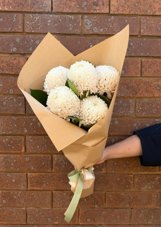 Flowers: Elsie