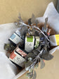x Lady Myrtle Hamper x
