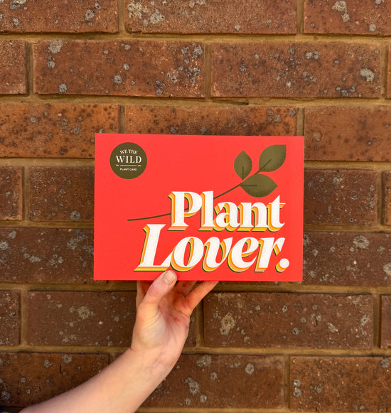 Plant care: Plant Lover Kit