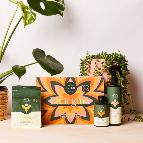 Plant care: Let it Grow kit