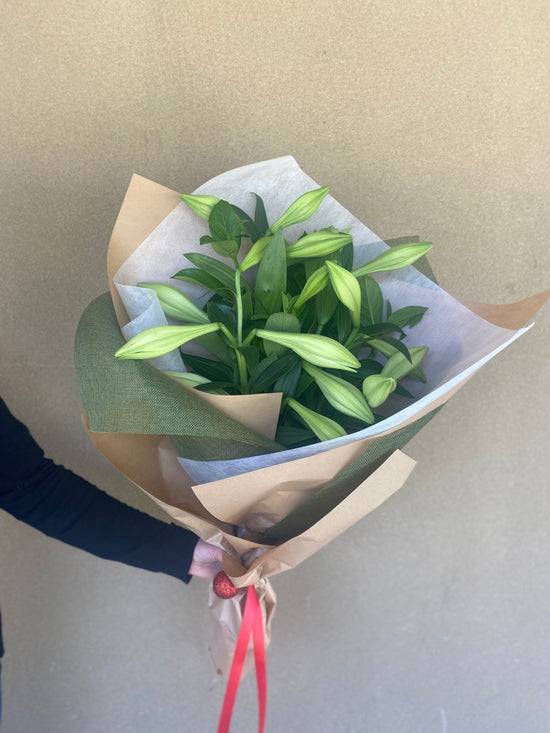 Flowers: Christmas Lillies