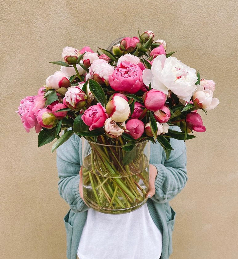 Large Vase of Local Peonies, pink peony, white peony, pale pink peony, local grown