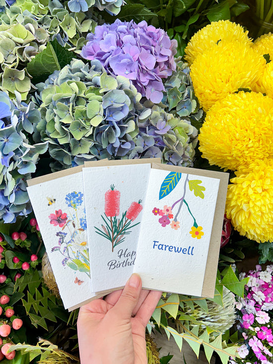 x Plantable Paper Cards x